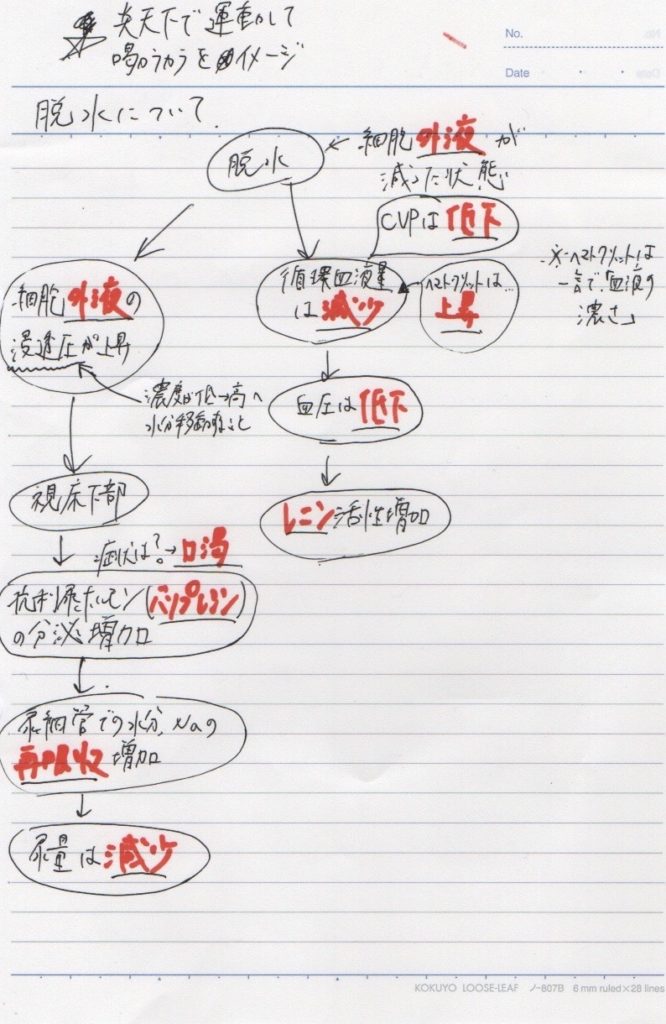 看護師国家試験対策まとめノート